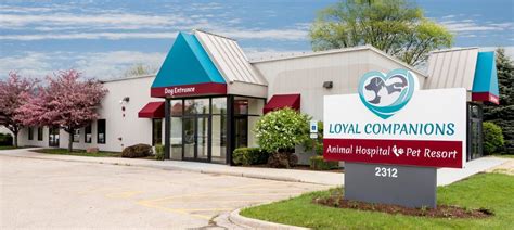 Covid 19 Updates Vet In St Charles Loyal Companions Animal Hospital