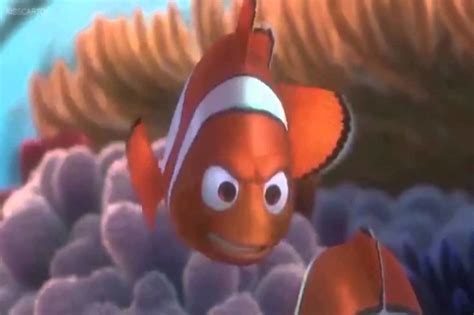 Marlin Hates Nemo Sarcasm News Tonight
