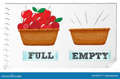 Opposite Adjective Full And Empty Stock Vector Image 63433771