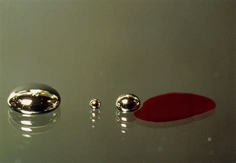 Drops Of Water And Mercury On Glass Plate Photograph By Sinclair