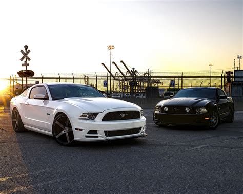 Wallpaper Ford Mustang Black And White Cars 1920x1200 Hd Picture Image