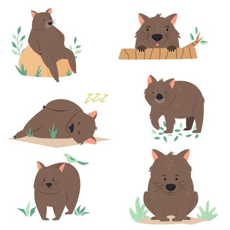 450 Cute Wombat Cartoons Stock Illustrations Royalty Free Vector