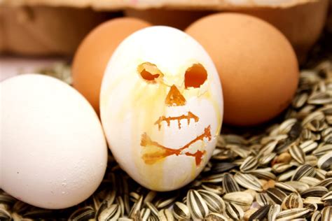 Rotten Eggs Lead To Prison Sentences