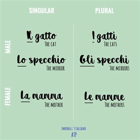 Learn Italian Singular And Plural The For Masculine And Feminine