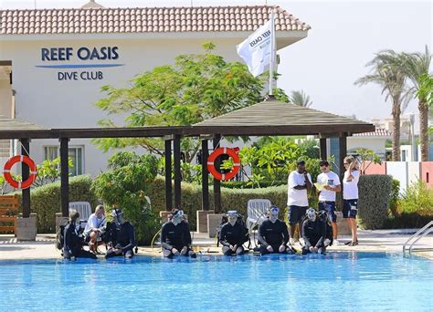 Reef Oasis Dive Club Sharm El Sheikh Reviews Photos And Special Rates