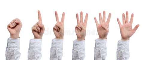 One To Five Fingers Count Hand Gesture Isolated Stock Photo Image Of