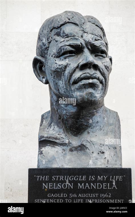 Statue Head And Shoulders Bust Of Nelson Mandela By Ian Walters In