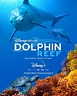 Cartel de la película Delfines: La vida en el arrecife - Foto 1 por un ...