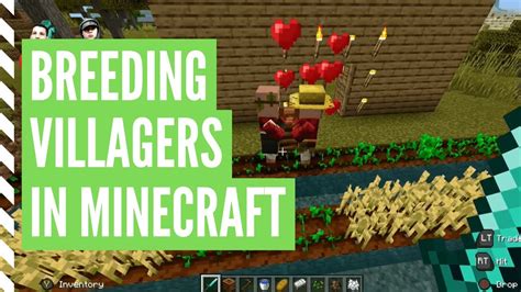 Submitted 10 months ago by fishlauncher. How To Breed VILLAGERS In Minecraft - YouTube