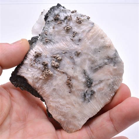 Argent Natif Sur Calcite Native Silver On Calcite