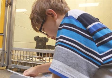 Children Practice Their Reading Skills To Calm Shy Shelter Dogs Bored