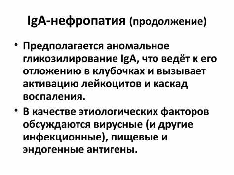 Диета При Иго Нефропатии 3 Класс – Telegraph Картинка - Диета При Иго Нефропатии 3 Класс – Telegraph