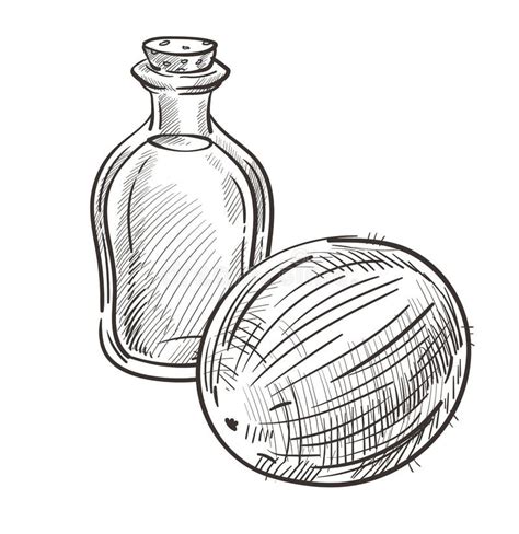 Coconut Oil Bottle Stock Illustrations 1778 Coconut Oil Bottle Stock