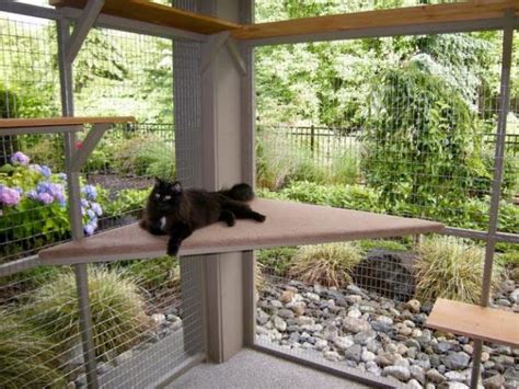 Catio Hacks Our Top 8 Tips For Diying Your Catio