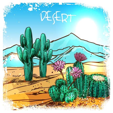 Cactus In Desert Sketch Vector Free Download