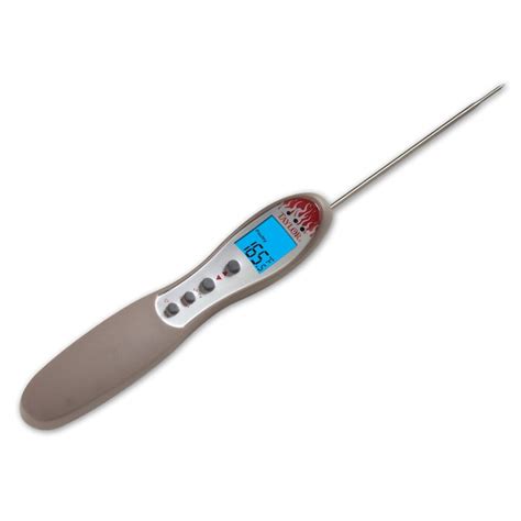 Taylor Digital Folding Probe Thermometer In The Meat Thermometers