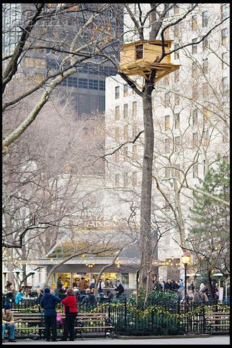Tree House In The City Nyc Jon Mangone And I Built An Epic Little