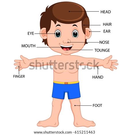 Body parts diagram for kids. Vector Illustration Boy Body Parts Diagram Stock Vector ...