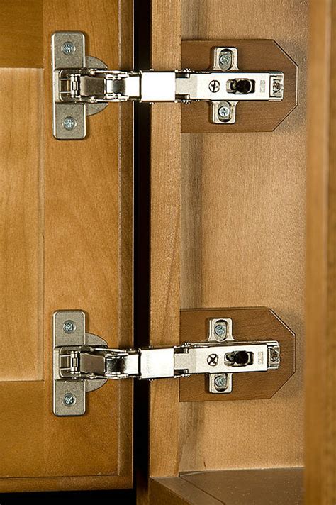 Concealed Hinges For Cabinet Doors At Augustus Golden Blog
