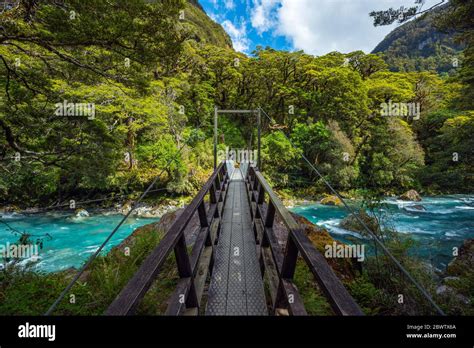 Bridge Across Hollyford River Flowing Fiordland National Park Hi Res