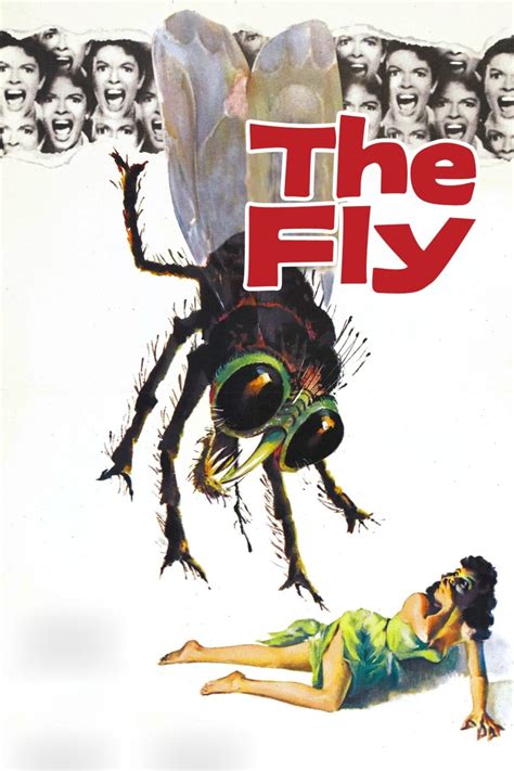 The Fly 1958 Picture Image Abyss