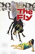 The Fly (1958) Picture - Image Abyss