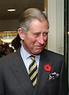 Britain's Prince Charles tests positive for the coronavirus | The ...