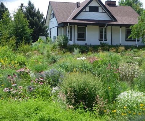 Included in the garden collection are *3 plants each* of: Visiting The Denver Botanic Gardens | High Country Gardens