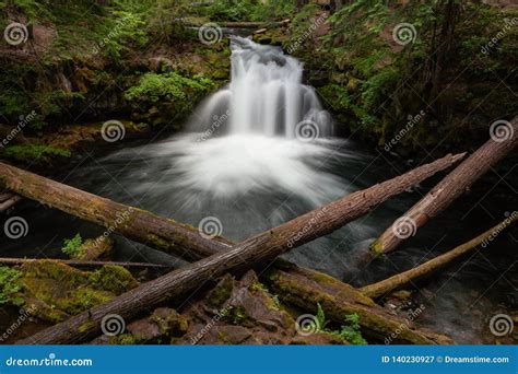Whitehorse Falls Umpqua National Forest Stock Image Image Of Rivers