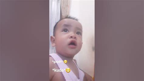 Anak Bayi Ngocehwkwkwk Bayilucu Youtube