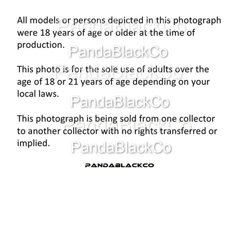 Sexy Nude Model 1 4x6 Inch Photo Female Sexy Art Naked Topless Breasts Butt Print Picture