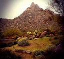 Pinnacle Peak Arizona Photograph by Missy Brage