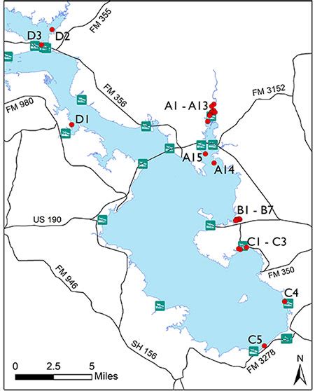 Map Of Lake Livingston Zip Code Map