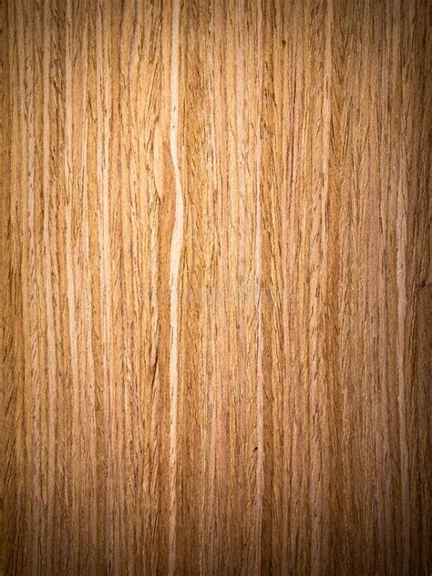 Oak Wood Texture Free Stock Photos Stockfreeimages Page