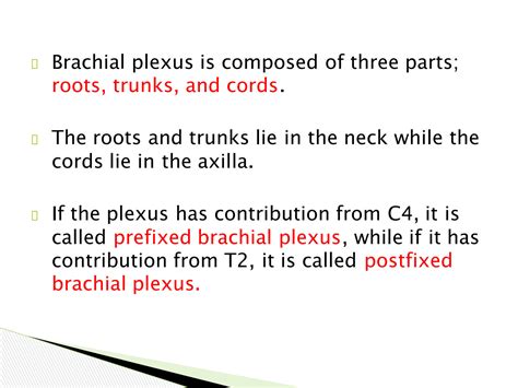 Solution Brachial Plexus Injuries Types Causes Treatment Studypool