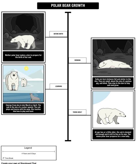 Where Do Polar Bears Live By Sarah Thomson Polar Bear Growth Using