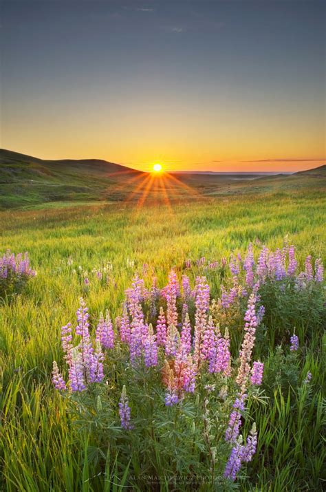 Prairie Sunrise Near Choteau Montana Alan Majchrowicz Photography