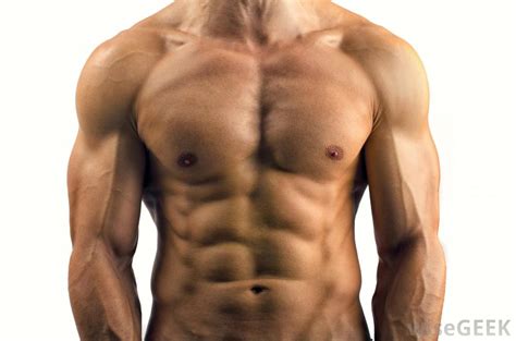 Search for human torso in these categories. What are Levator Muscles? (with pictures)