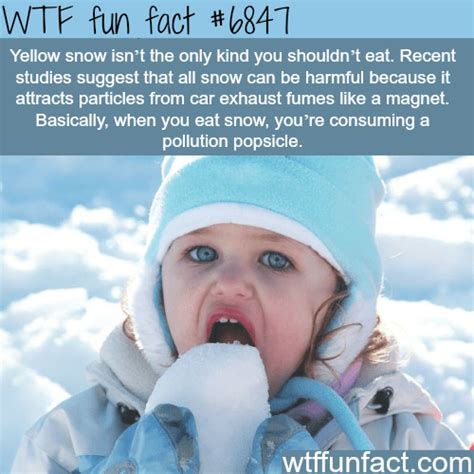 25 Weird And Wtf Facts Improve Your Brain Wtf Gallery Ebaums World