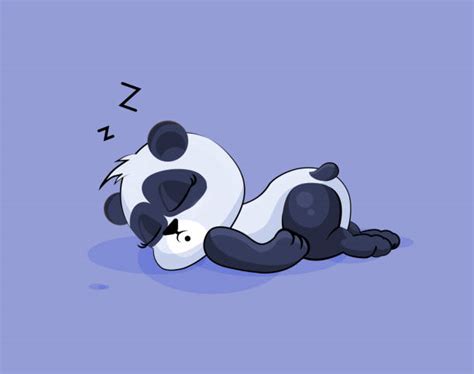 Sleeping Panda Pictures Illustrations Royalty Free Vector Graphics