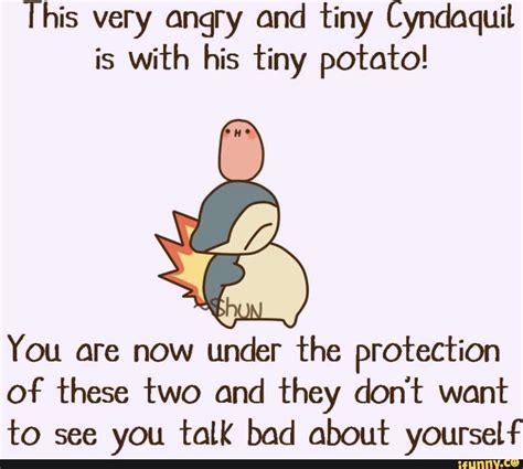 This Very Angry And Tiny Cyndaquil Is With His Tiny Potato You Are Now
