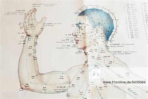 Die anwendung, wirkung und massage von akupressurpunkten ist geeignet gegen die akupressur ist eine druckpunktmassage, eine heilmethode ohne nebenwirkungen. Traditionelle Chinesische Medizin TCM Akupunkturpunkte ...