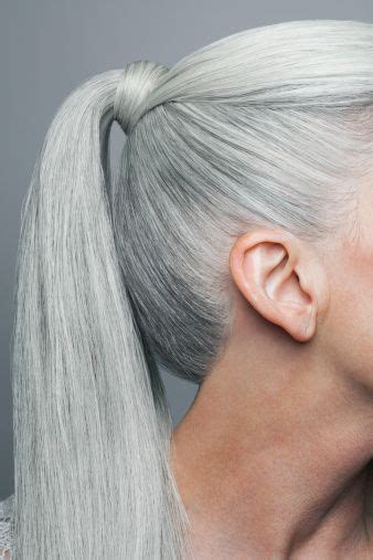 Mature Woman With Long Straight Silvery Grey Hair In A Ponytail