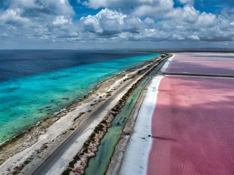 50 Bonaire Pink Beach Stock Photos Pictures And Royalty Free Images