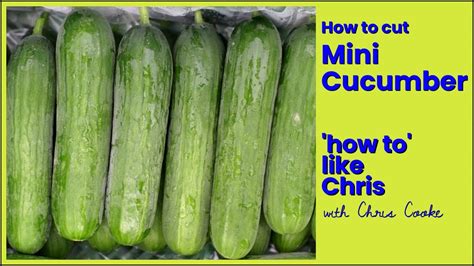 How To Cut Mini Cucumbers Watch Your Fingers YouTube