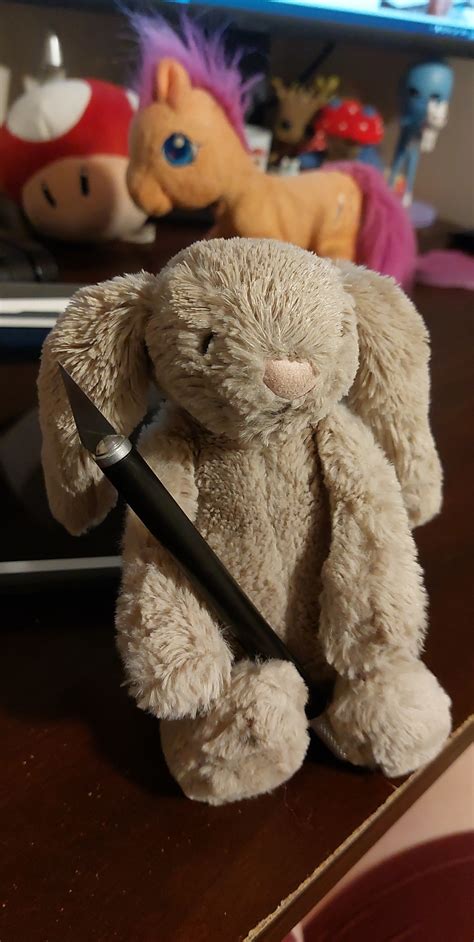 This Is Bunny She Helps Me A Lot With Stimming And Is A Protector For