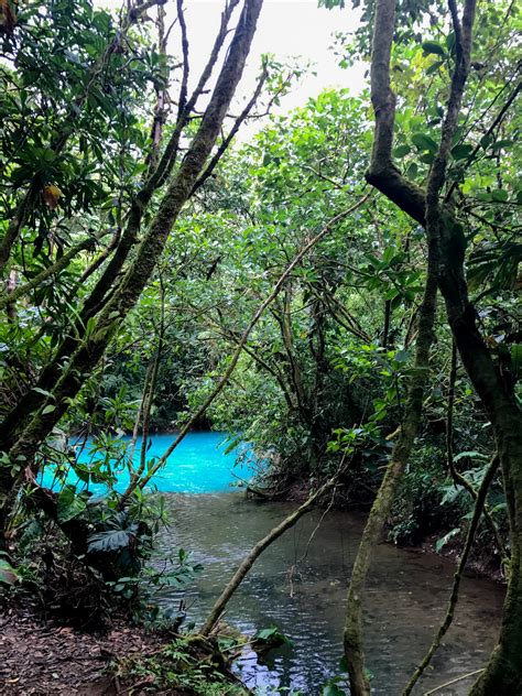 Exploring The Rio Celeste At Tenorio Volcano National Park Thirdeyemom