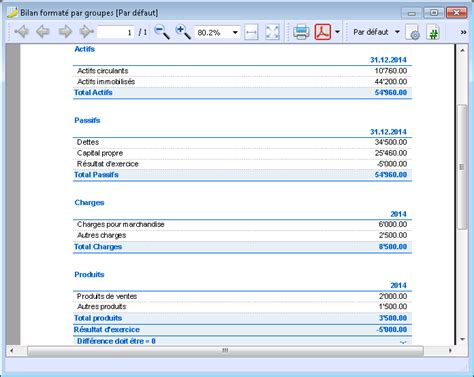 Fichier Rapport Comptable Banana Accounting Software 7