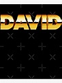 "First name David" Canvas Print for Sale by wolfgangrainer | Redbubble
