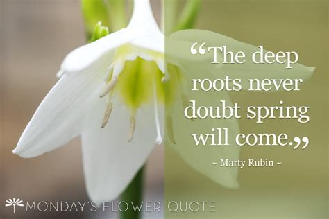 Deep Roots Never Doubt Spring Will Come Flower Quote